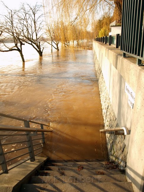 Hochwasser Koeln 2011 Tag 3 P100.JPG